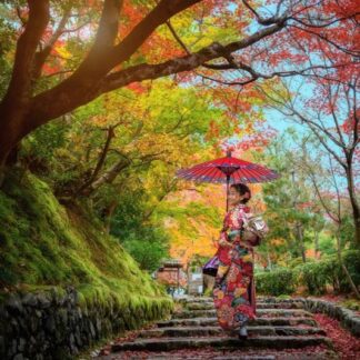 Giappone - Momiji Hub Viaggi